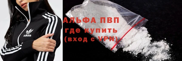 apvp Иннополис