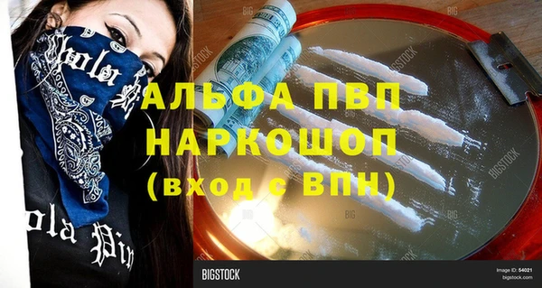 мяу мяу мука Инта