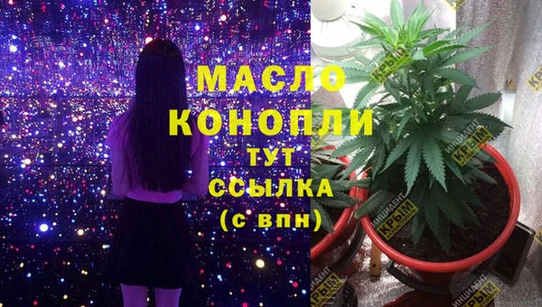 apvp Иннополис