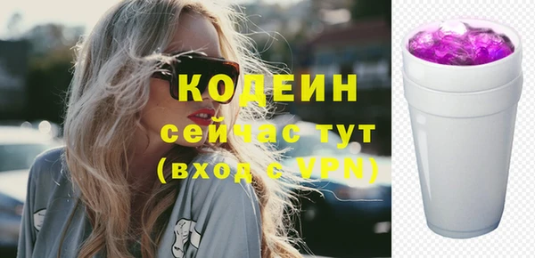 apvp Иннополис