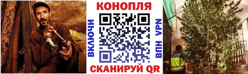 где продают наркотики  Карабаново  Конопля MAZAR 
